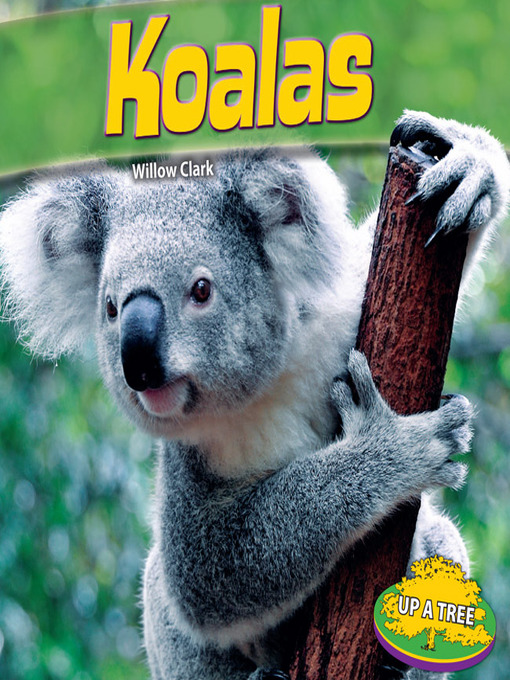 Title details for Koalas by Willow Clark - Available